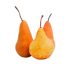 Pears, Bosc