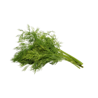 Herbs, Dill