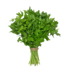 Herbs, Italian Parsley