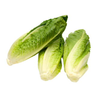 Lettuce, Romaine Hearts, Bag of 3