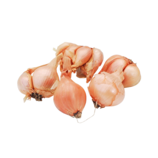 Shallots