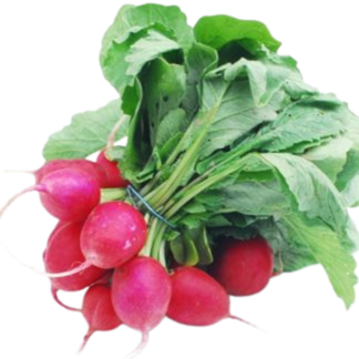 Radishes - Local