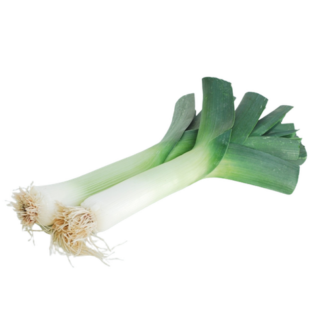 Leek