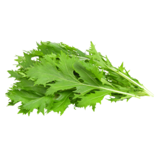 Mustard, Mizuna - Local