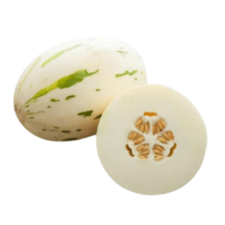 Melon, Honeysaurus (Snow Leopard)