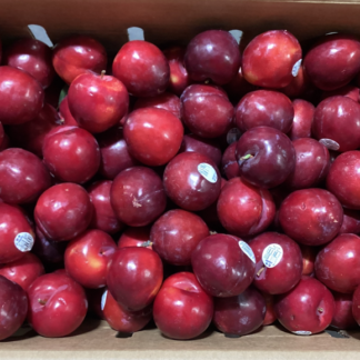Pluot, Ruby Kat - 1 lb.