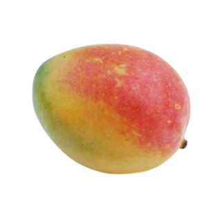Mango, Tommy Atkin