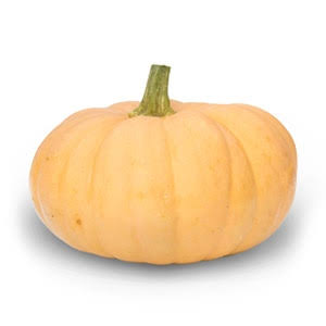Squash, Autumn Crown