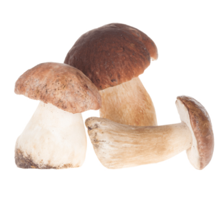 Mushrooms, Porcini