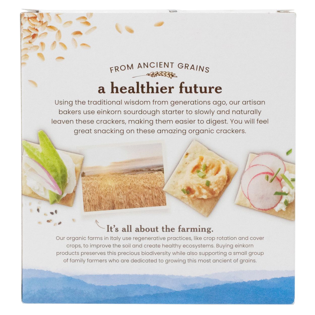 Everything Einkorn Crackers 3