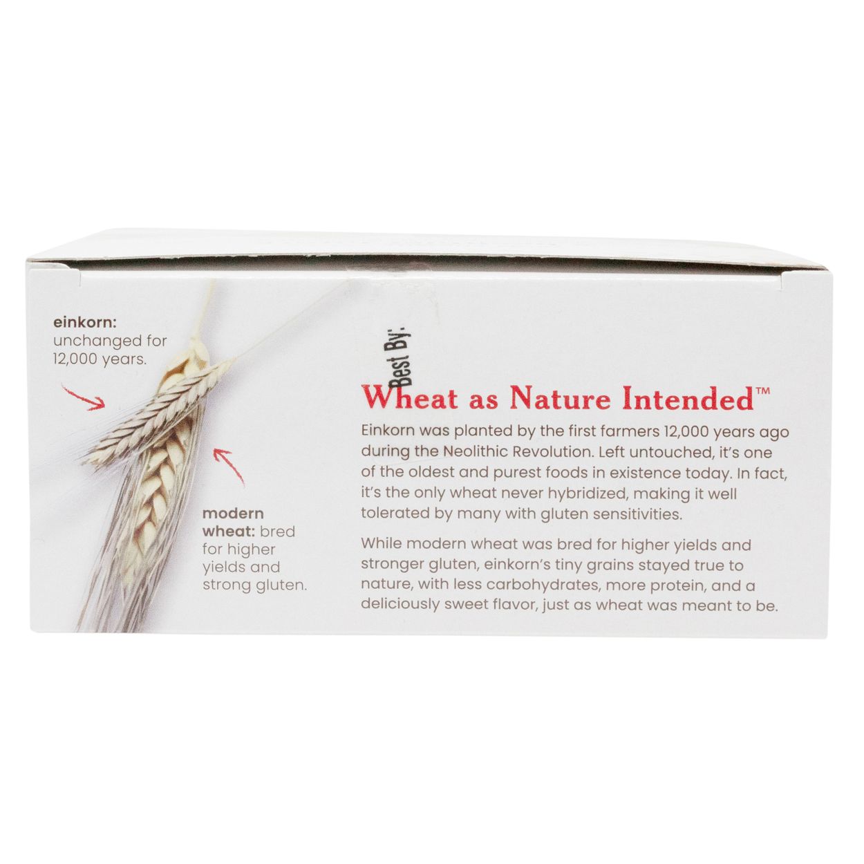 Everything Einkorn Crackers 5