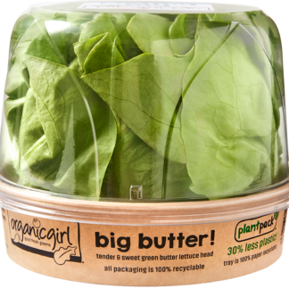 Lettuce, Big Butter - Organic Girl