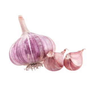 Garlic - Purple