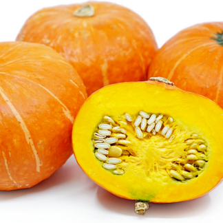 Kabocha, Orange Cutie - Petite Size