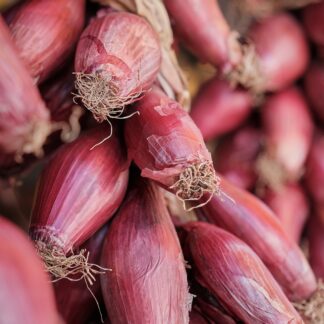 Onions, Red Tropea - 0.5 Lb.